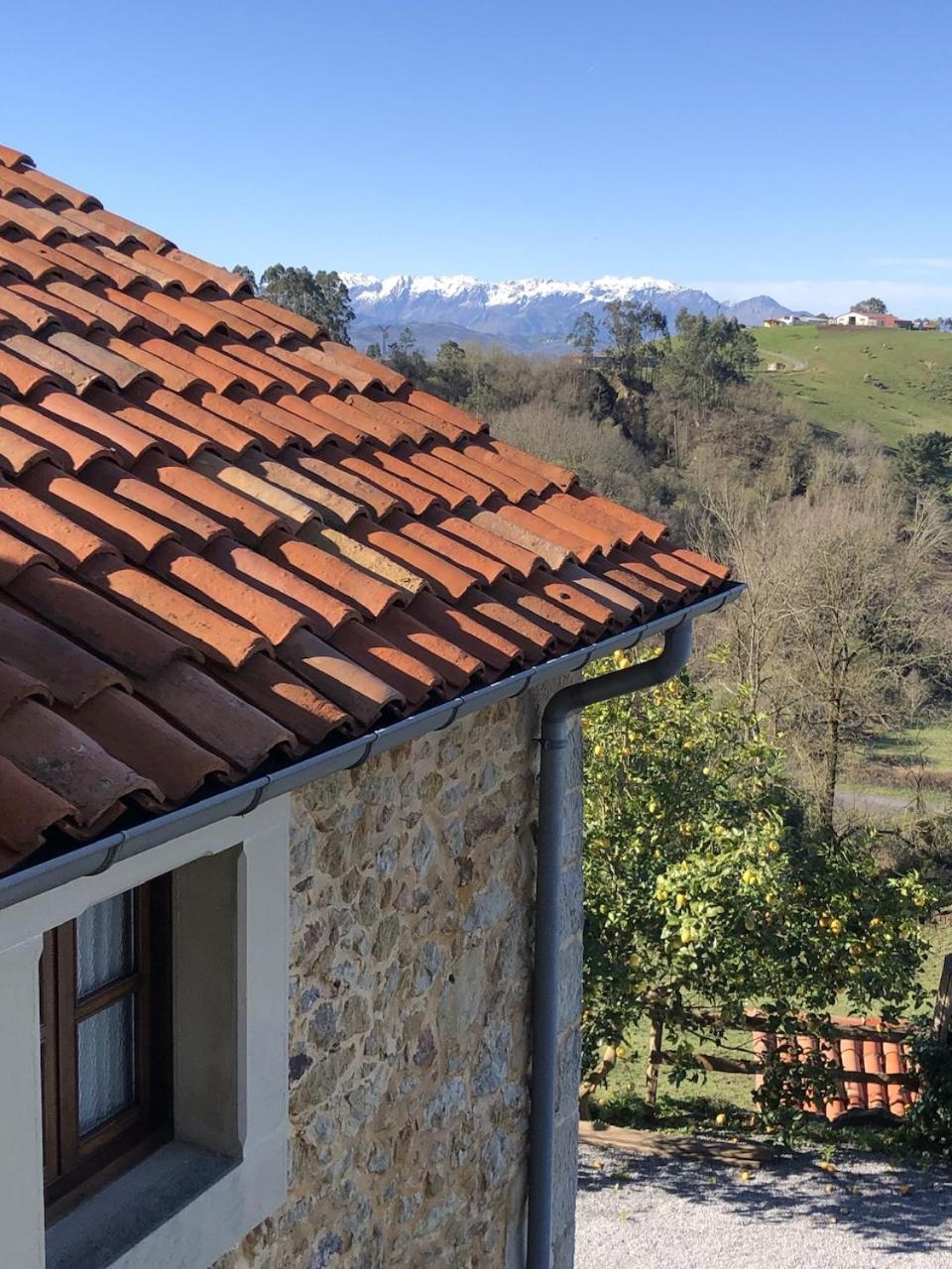 Casa Rural Trebol4Hojas San Pedro  Luaran gambar