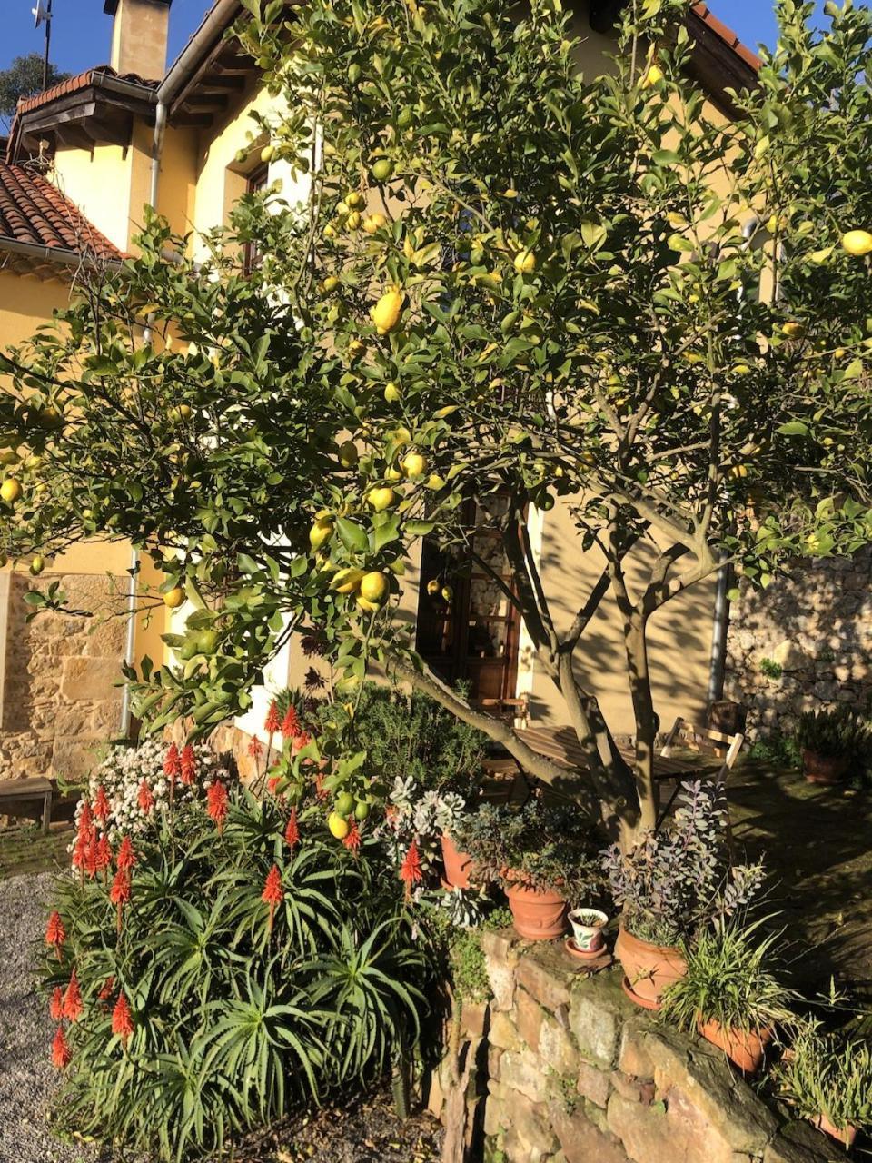 Casa Rural Trebol4Hojas San Pedro  Luaran gambar
